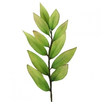 Cutter - Multi Purpose Leaf & Petal
